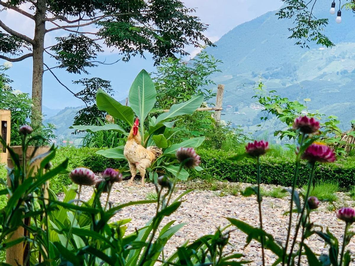 Sapa Rosie House Hotel Bagian luar foto
