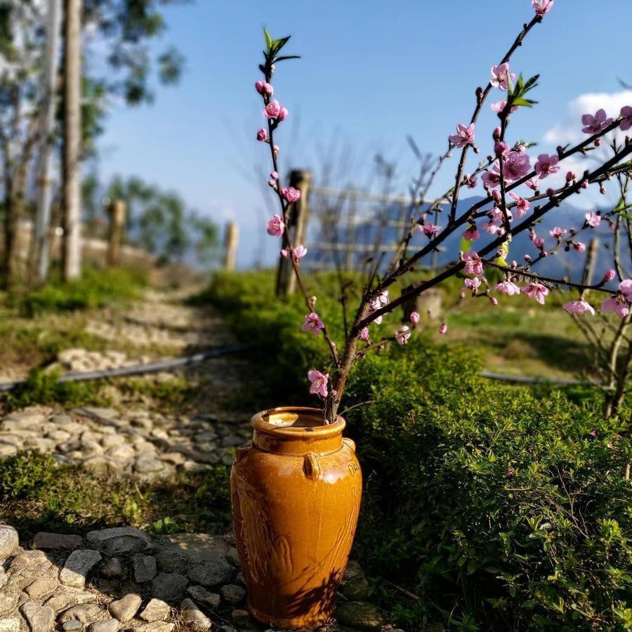 Sapa Rosie House Hotel Bagian luar foto